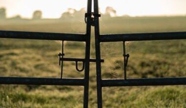 trusted gate repair services with professional expertise guaranteed