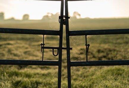 trusted gate repair services with professional expertise guaranteed