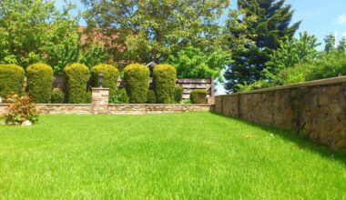 understanding the role of arborists in landscape management