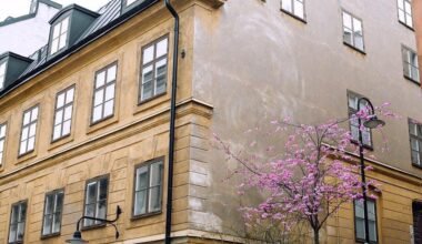 what draws students to off campus housing options