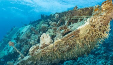 explore pristine reefs and historic wreck sites