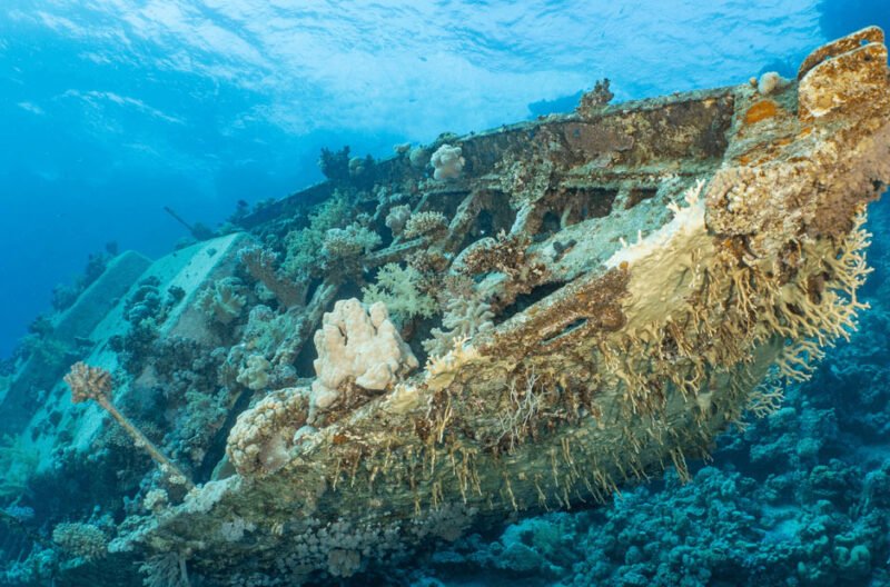 explore pristine reefs and historic wreck sites