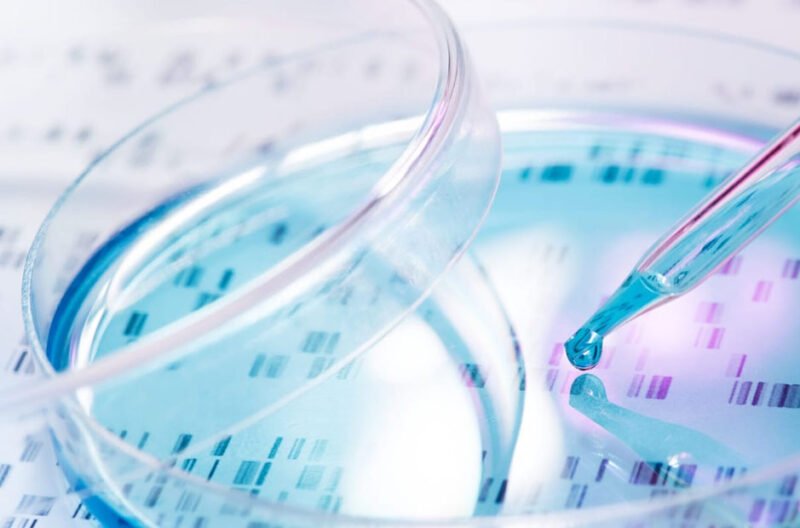 how pharmaceuticals can get accurate results during drug discovery