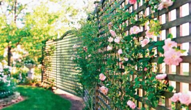 how to use fences to enhance your landscape design