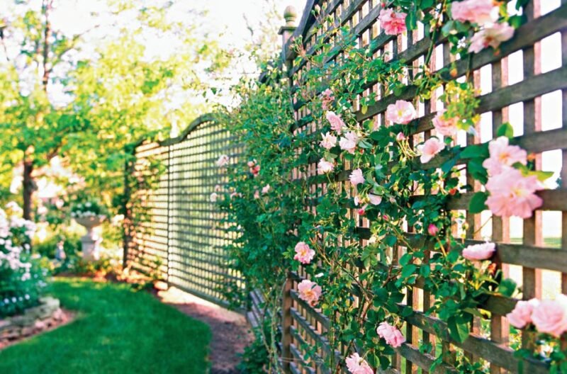 how to use fences to enhance your landscape design