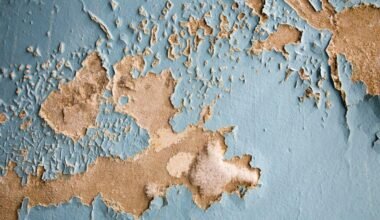 common causes of water damage and how to fix them