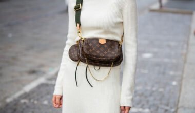 louis vuitton crossbody bag