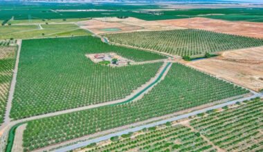 professional land appraisal and brokerage management services