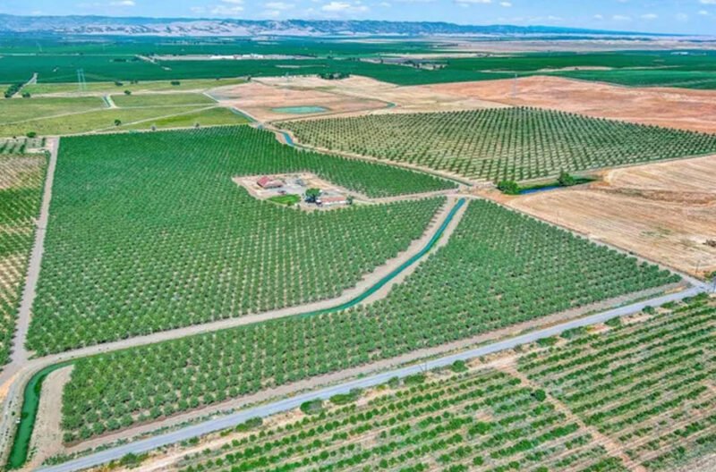 professional land appraisal and brokerage management services