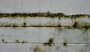 the long term effects of water damage on residential properties