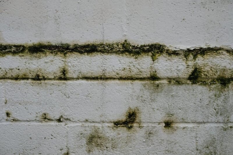 the long term effects of water damage on residential properties