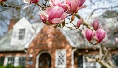 top home problems that show up in spring season