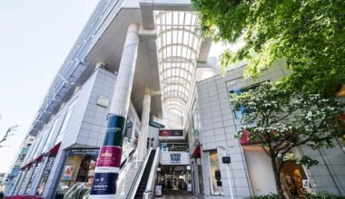 top luxury property agencies in tokyo for expats and foreign buyers