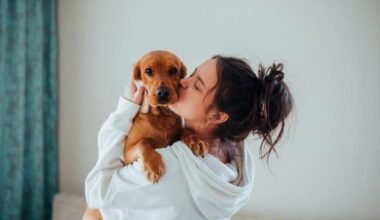 common mistakes new dog owners make during the first few months