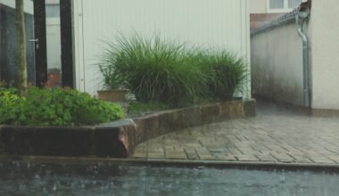 essential home maintenance tips to help prevent costly