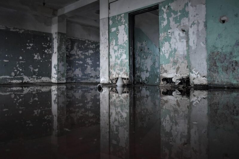 home improvement tips for preventing water damage issues