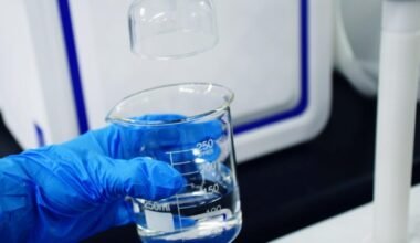 backflow testing services