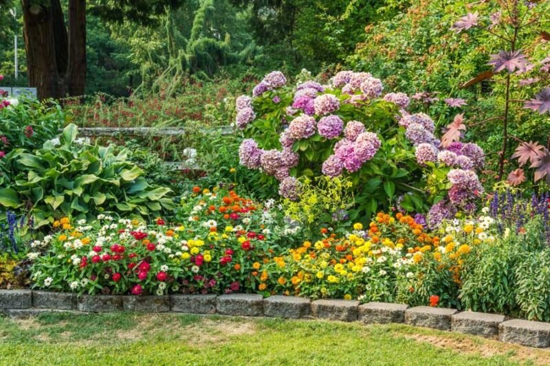 harnessing nature's palette for beautiful garden plant designs