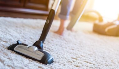 professional carpet cleaners