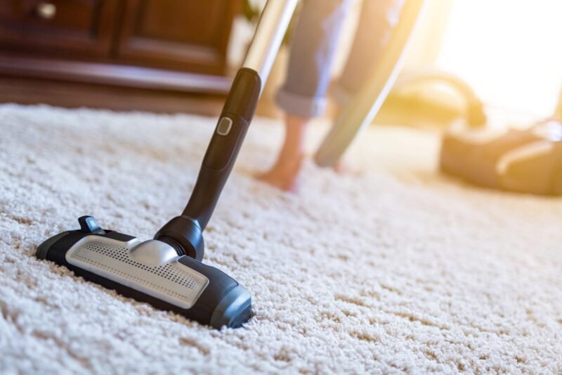 professional carpet cleaners