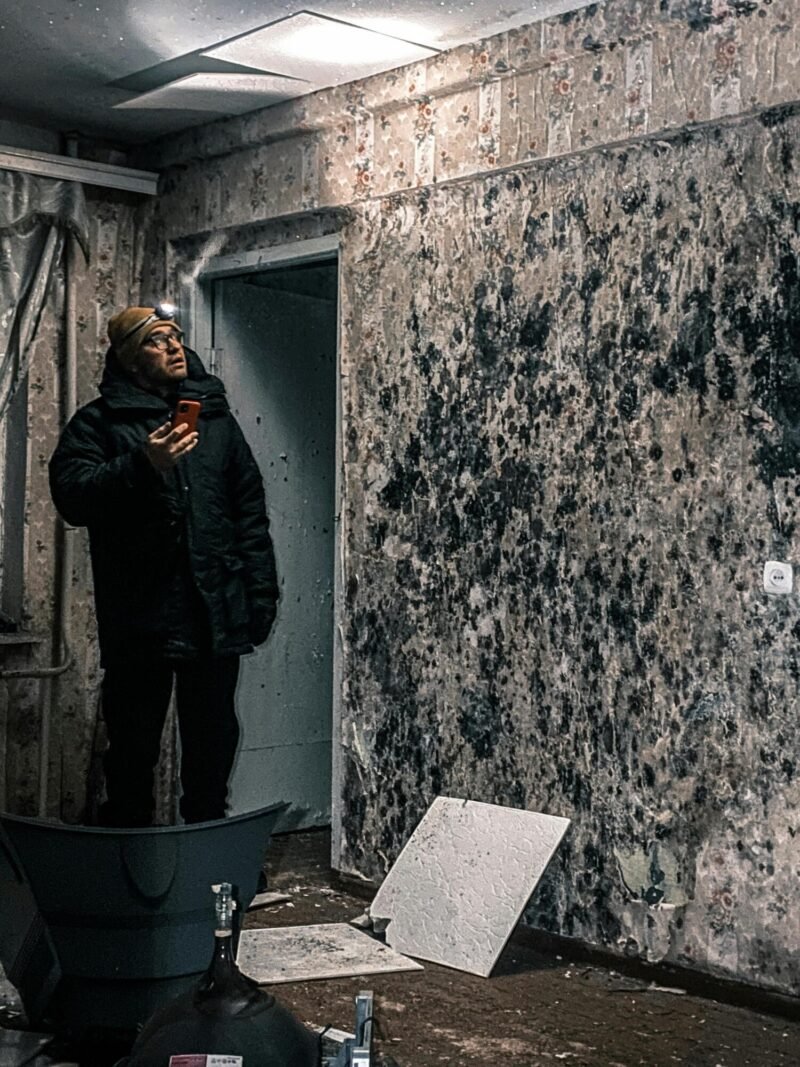 professional mold removal and mitigation solutions