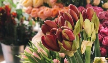 turning fresh floral arrangements into interior focal masterpieces