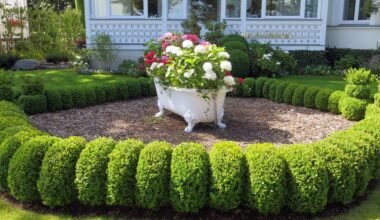 creating a landscape masterpiece artistic ideas for your lawn