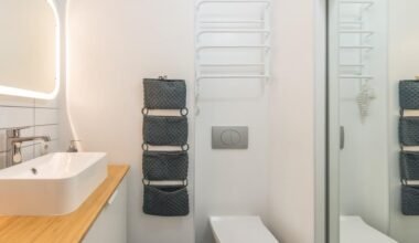 smart shower updates that make small bathrooms shine