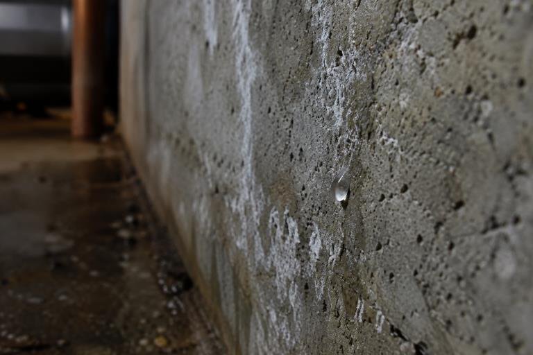 basement remodeling checklist for a dry, flexible lower level