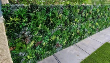 where is the best place to install an artificial wall garden at home