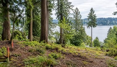 before you buy a buildable lot on mercer island washington a due diligence checklist