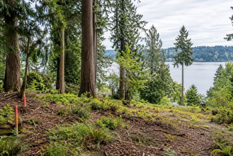 before you buy a buildable lot on mercer island washington a due diligence checklist