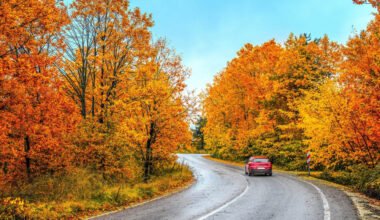 how to plan a fall day trip that actually works for everyone in the car