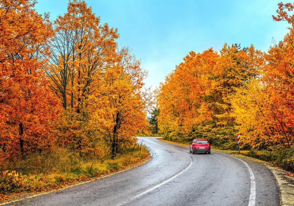 how to plan a fall day trip that actually works for everyone in the car